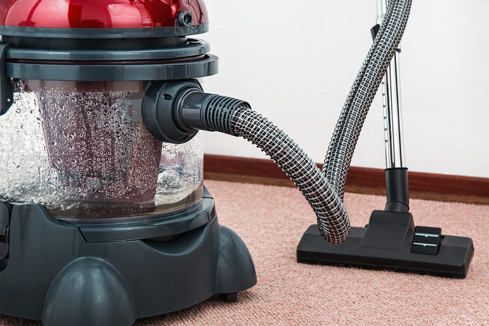 Deep cleaning carpet with a vacuum in Etobicoke